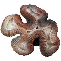 Коралл для аквариума Marvelous Aqva, К-110/3, 14х16х7см