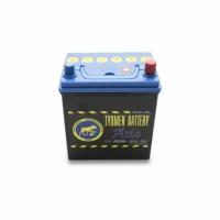 Аккумулятор Tyumen Battery Asia 40 Ач обр. пол. 370A (187x127x225)