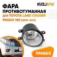 Противотуманная фара для Тойота Ленд Крузер Прадо 150 Toyota Land Cruiser Prado 150 (2009-2013) правая, птф, туманка