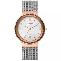 Наручные часы SKAGEN 456LRS