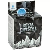 Набор для экспериментов Intellectico Кристалл серебристый Royal Crystal 511бр