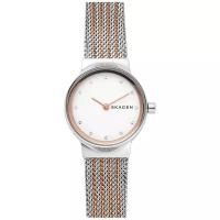 Наручные часы SKAGEN Mesh SKW2699