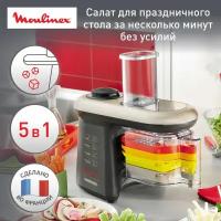 Измельчитель Moulinex DJ9058 Fresh Express Cube светло-черный/золотистый