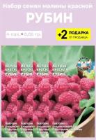 Семена Малина красная "Рубин", 4 упаковки + 2 подарка