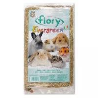 Fiory сено evergreen 1 кг (30 л) (2 шт)