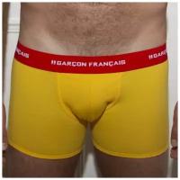 Трусы боксеры Garcon Francais, заниженная посадка, размер XXXL, желтый