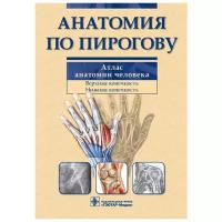 Анатомия по Пирогову. Атлас анатомии человека. В 3-х томах. Том 1