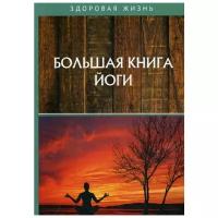 Большая книга йоги