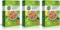 Мюсли 4 Life Crunchy Fruits, 350 г 3 пачки