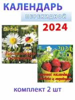 День за днем Календарь на 2024 год: "Природа" + "Садовый" 160х170 мм (2 шт)