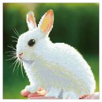 ФРЕЯ Набор алмазной вышивки Белый кролик (ALV-6) 22х22см