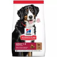Сухой корм для собак Hill's Science Plan для здоровья кожи и шерсти, ягненок с рисом 12 кг (для крупных пород)