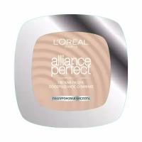 Пудра для лица Loreal Paris Alliance Perfect 3D 3W