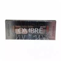 TF Cosmetics Набор для макияжа Ombre 203