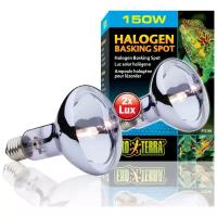 Лампа дневного света Exo Terra(hagen) EXO TERRA Halogen Basking Spot 150 Вт. /широкого спектра/ PT2184 (H221849)