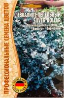 Семена Эвкалипта пепельного "Silver dollar" (5 семян)