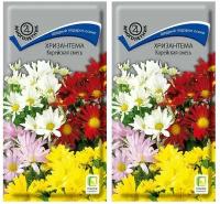Набор семян цветов Хризантема Корейская смесь окрасок (2 пачки по 0,05 гр.)