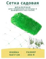 Сетка шпалерная для огурцов и вьющихся растений 2х5 метров