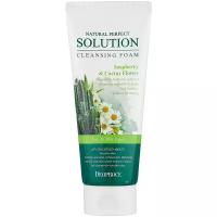 DEOPROCE NATURAL PERFECT SOLUTION CLEANSING FOAM SOAP BERRY & CACTUS FLOWER Пенка для умывания с экстрактом цветков кактусаи мыльным орехом 170г