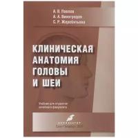 А. В. Павлов, А. А. Виноградов, С. Р. Жеребятьева "Клиническая анатомия головы и шеи. Учебник"