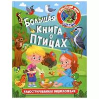 Животный мир России. Большая книга о птицах. Иллюстрированная энциклопедия