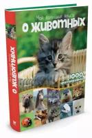 Книга Моя большая книга о животных