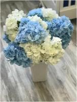Искусственные цветы гортензия-15 шт+ваза. Цвета для декора интерьера . Букет гортензий