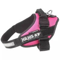 Шлейка для собак JULIUS-K9 Powerharness L, темно-розовый