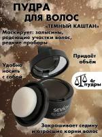 SEVICH Пудра маскирующая Hair shadow, темно-коричневый, 4 г