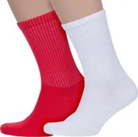 Комплект из 2 пар мужских носков PARA socks 2-M2D26, размер 25-27