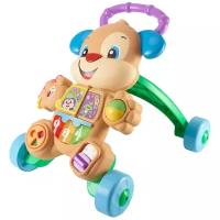 Ходунки Fisher Price Ученый Щенок FRC93