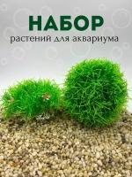 Растения для аквариума набор