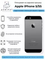 Глянцевая плёнка на заднюю крышку iPhone 5/5S