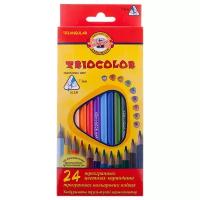 KOH-I-NOOR Карандаши цветные Triocolor, 24 цвета (3134024004KS), 24 шт