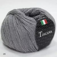 Пряжа Seam Toscana 09 Сеам Тоскана, 65% альпака суперфайн 35% вискозный шёлк, 50 г, 200 м, 1 моток