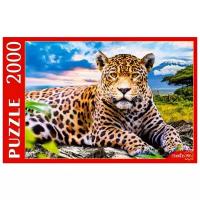 Рыжий кот Большой леопард (ПИ2000-3698), 2000 дет., разноцветный