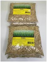 Семена Овса 4 упак. по 500 гр