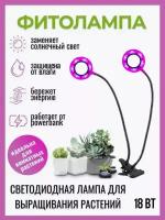 Фитолампа LED для растений и рассады, светодиодная лампа для комнатных растений, фитолампа полного спектра, светильник на прищепке