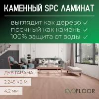 SPC ламинат Evofloor Optima Click - Дуб Гавана