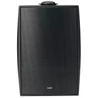 Акустика всепогодная трансляционная Tannoy DVS 6t Black