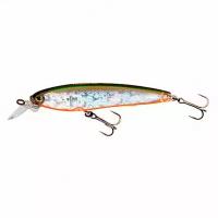 Воблер Yo-Zuri 3DS MINNOW сусп., 100мм, 17г, F1157-HTS