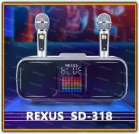 Rexus SD-318 Dark Grey - беспроводная караоке система, 2 радиомикрофона, USB, Bluetooth, оптический вход