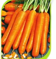 Коллекционные семена моркови Навал F1