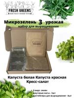 Микрозелень для выращивания Набор Fresh Greens (Капуста белокочанная Капуста краснокочанная Кресс-салат)