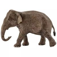 Фигурка Schleich Азиатский слон самка 14753