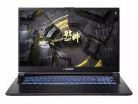 Ноутбук HASEE G8R9 G8R9 (17.3", Core i9 13900H, 16Gb/ SSD 1000Gb, GeForce® RTX 4060 для ноутбуков) Черный