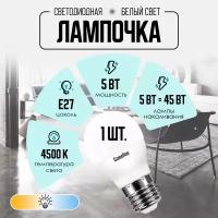 Светодиодная лампа Camelion LED5-G45/845/E27