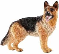 Животное собака немецкая овчарка