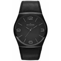 Наручные часы SKAGEN SKW6043