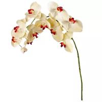 Искусственный цветок Орхидея Фаленопсис Gerard de ros